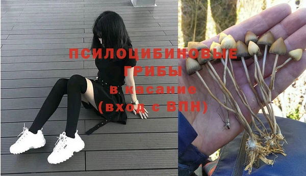 мяу мяу кристалл Козловка