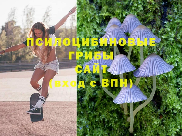 мяу мяу кристалл Козловка